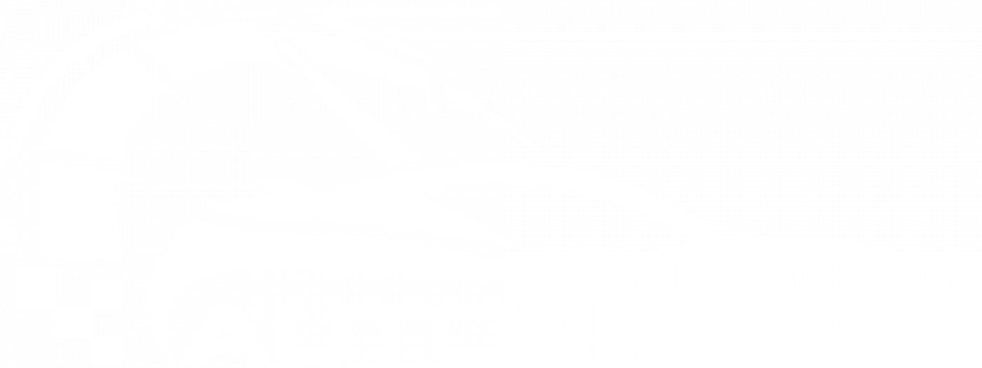 Logo-auto-speedy-white