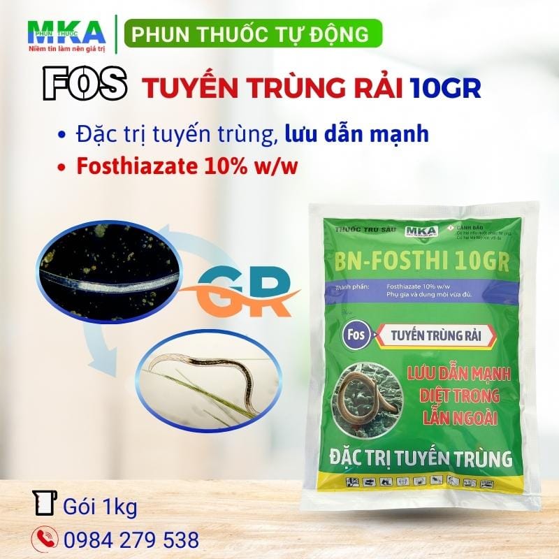 Các phương pháp tưới cây chuyên dụng hiệu quả và an toàn cho cây trồng