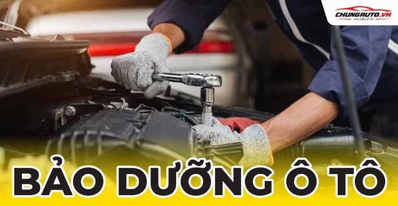 Chi phí bảo dưỡng cảm biến cửa ô tô là bao nhiêu tiền?