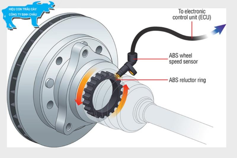Kỹ thuật viên kiểm tra cảm biến tốc độ ô tô