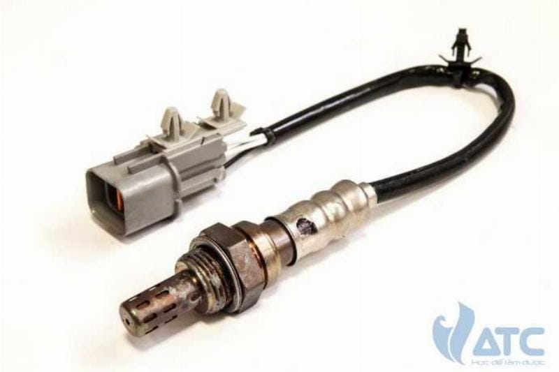 Kỹ thuật viên kiểm tra cảm biến TPS (Throttle Position Sensor) của ô tô bằng máy quét.
