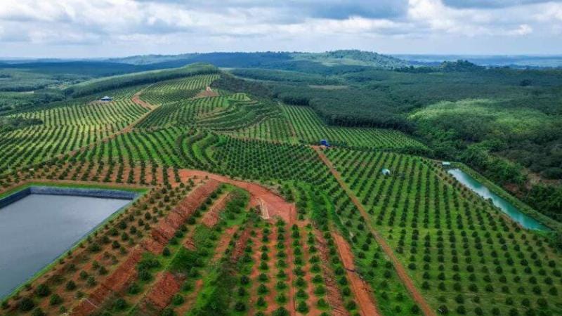 bơm-pe-được-sử-dụng-trong-hệ-thống-tưới-tiêu-nông-nghiệp-hiệu-quả